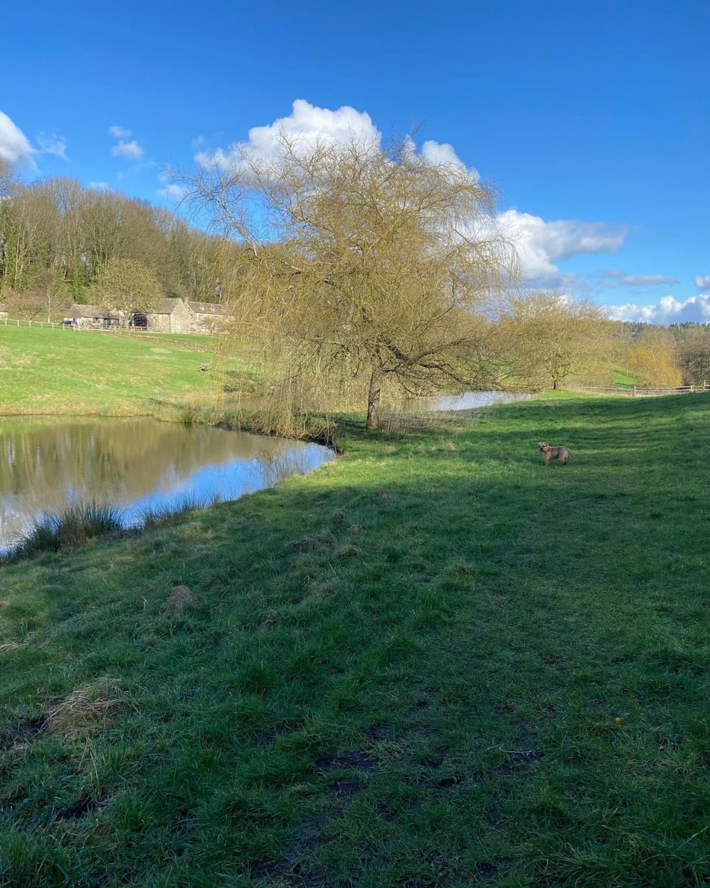 Dove Cottage Bisley  ภายนอก รูปภาพ