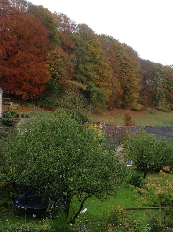 Dove Cottage Bisley  ภายนอก รูปภาพ