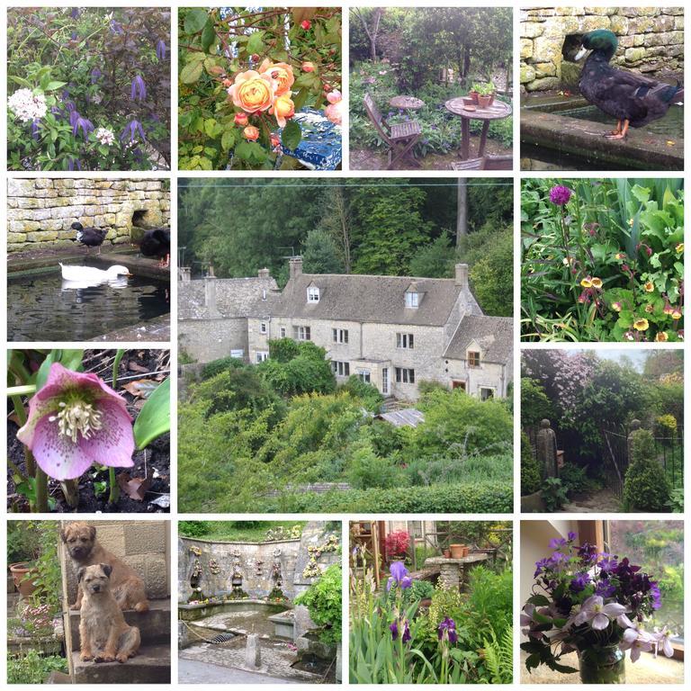 Dove Cottage Bisley  ภายนอก รูปภาพ