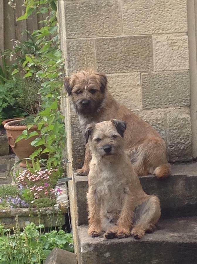 Dove Cottage Bisley  ภายนอก รูปภาพ