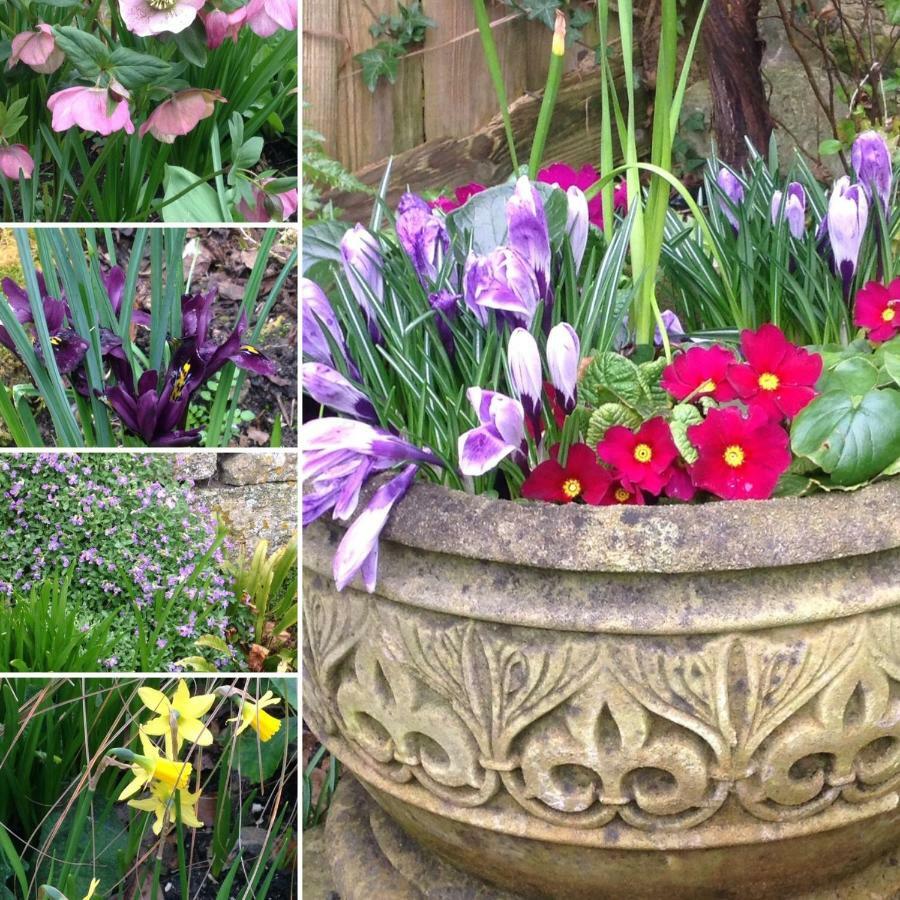 Dove Cottage Bisley  ภายนอก รูปภาพ